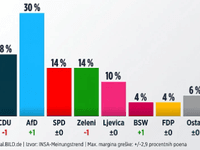 Radikalni desničari prvi put imaju 30 posto podrške Nijemaca, CDU na minimumu