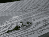 Udruženja žrtava traže da Tužilaštvo BiH preuzme predmet Memorijalnog centra Srebrenica