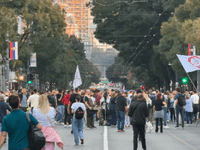 Protest u Beogradu zbog glasanja dijaspore: Hiljade birača mogle bi ostati bez mogućnosti da glasaju