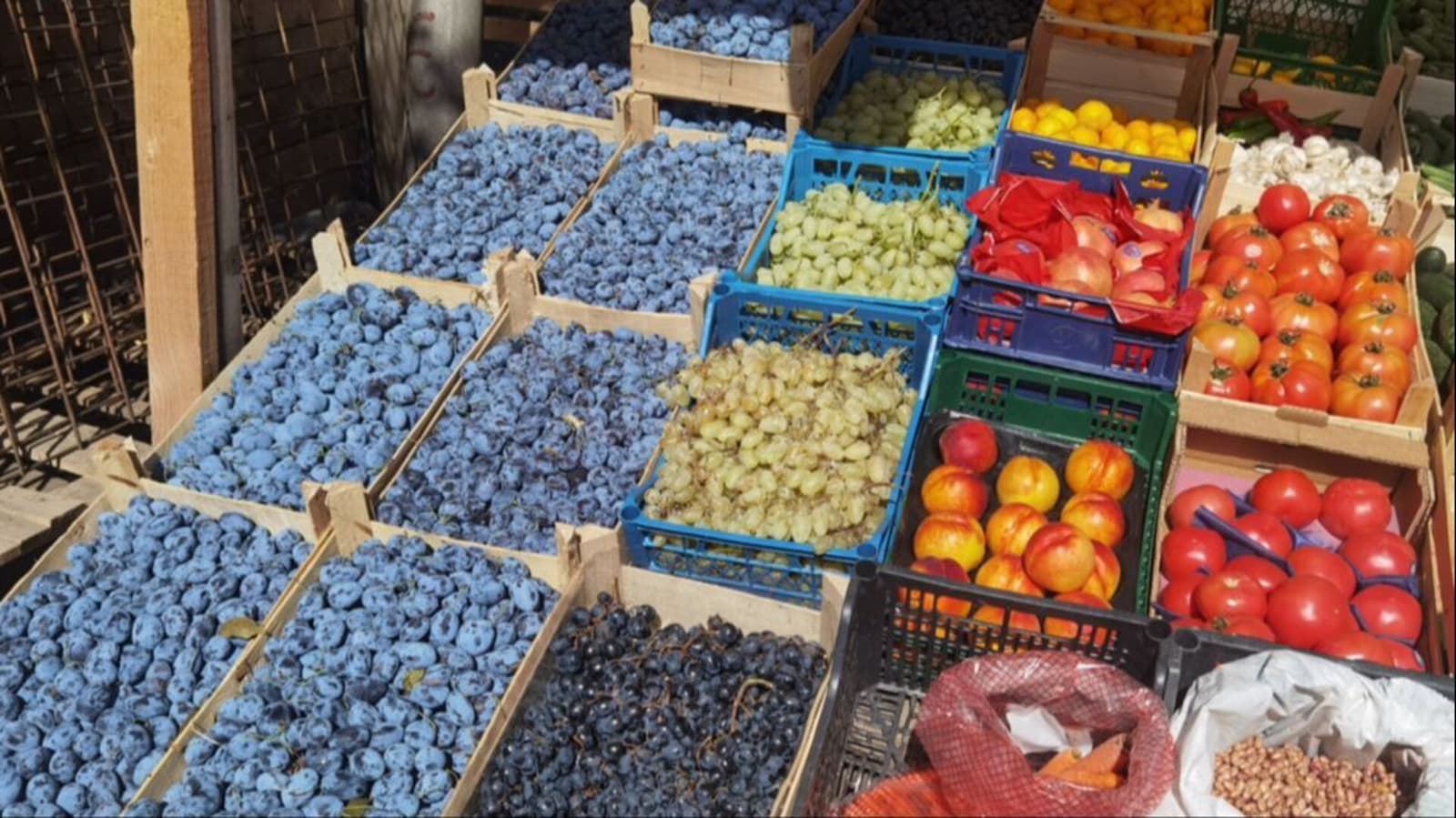 Zimnica sve veći udar na kućni budžet: Paprike do 5 KM, vreća kupusa do 15 KM - slika 1