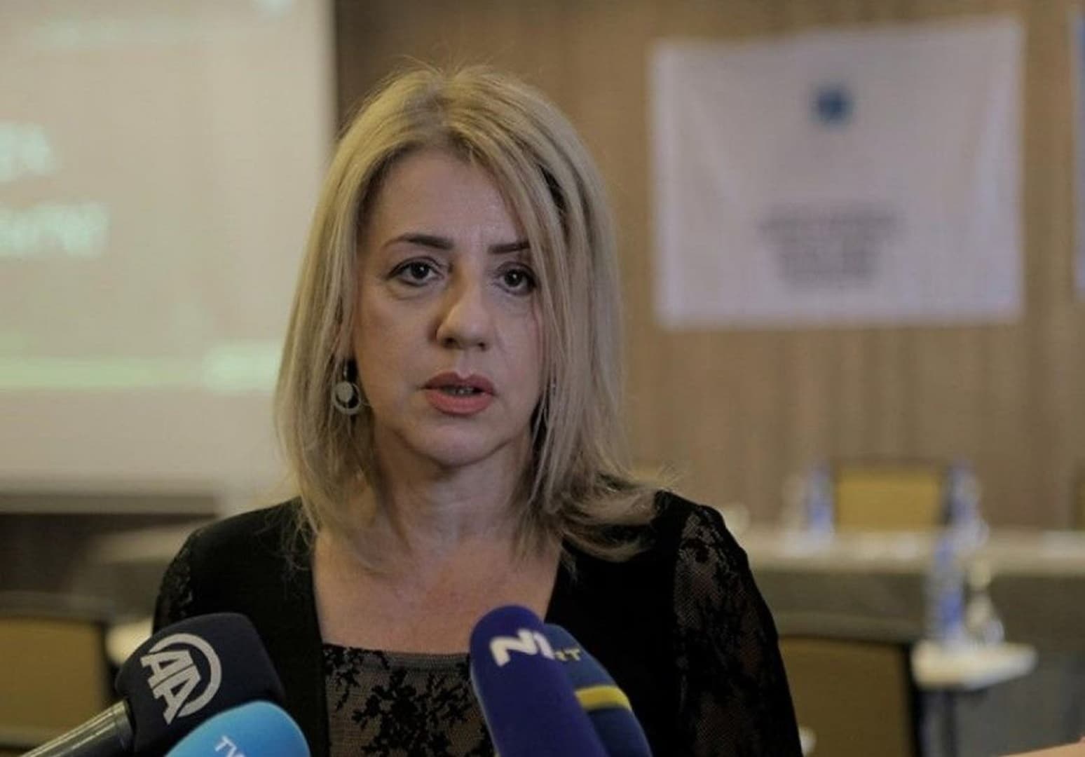 Mostarka izabrana za predsjednicu Sindikata srednjeg i visokog obrazovanja BiH - slika 1