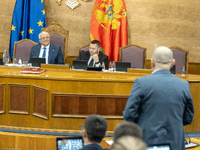 Mandić ostaje na čelu Skupštine Crne Gore, Kenana Strujić-Harbić poručila: Mladić nije heroj, nego kukavica!