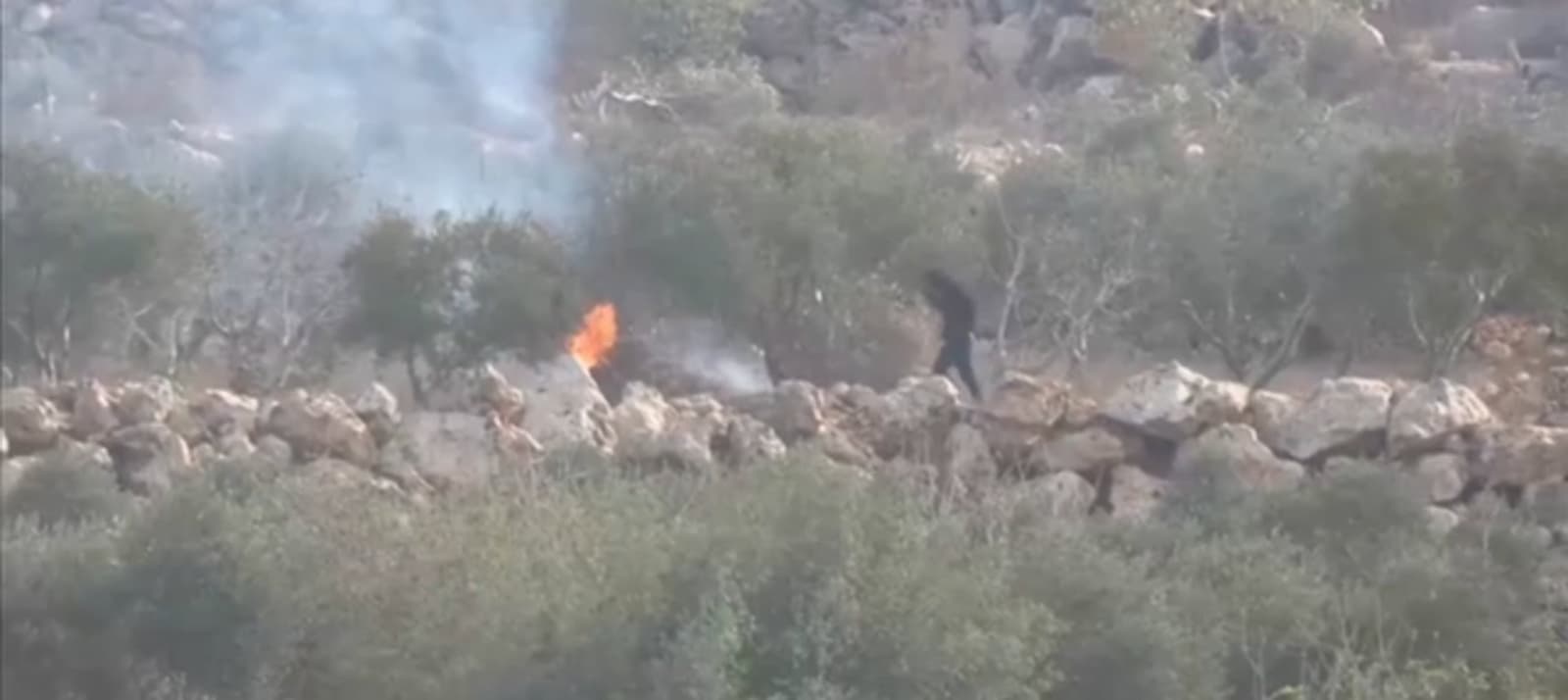 Izraelski doseljenici napali Palestince tokom berbe maslina: Palili stabla, čuli se i pucnjevi - slika 1