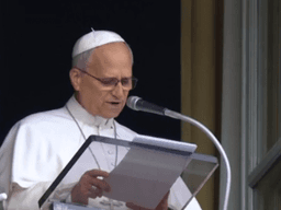 Papa Lav ne mora na daljnje liječenje od raka