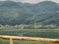 SRAMOTNO: Tužilaštvo BiH neće istraživati puštanje pjesme kojom se priziva ponavljanje genocida u Srebrenici