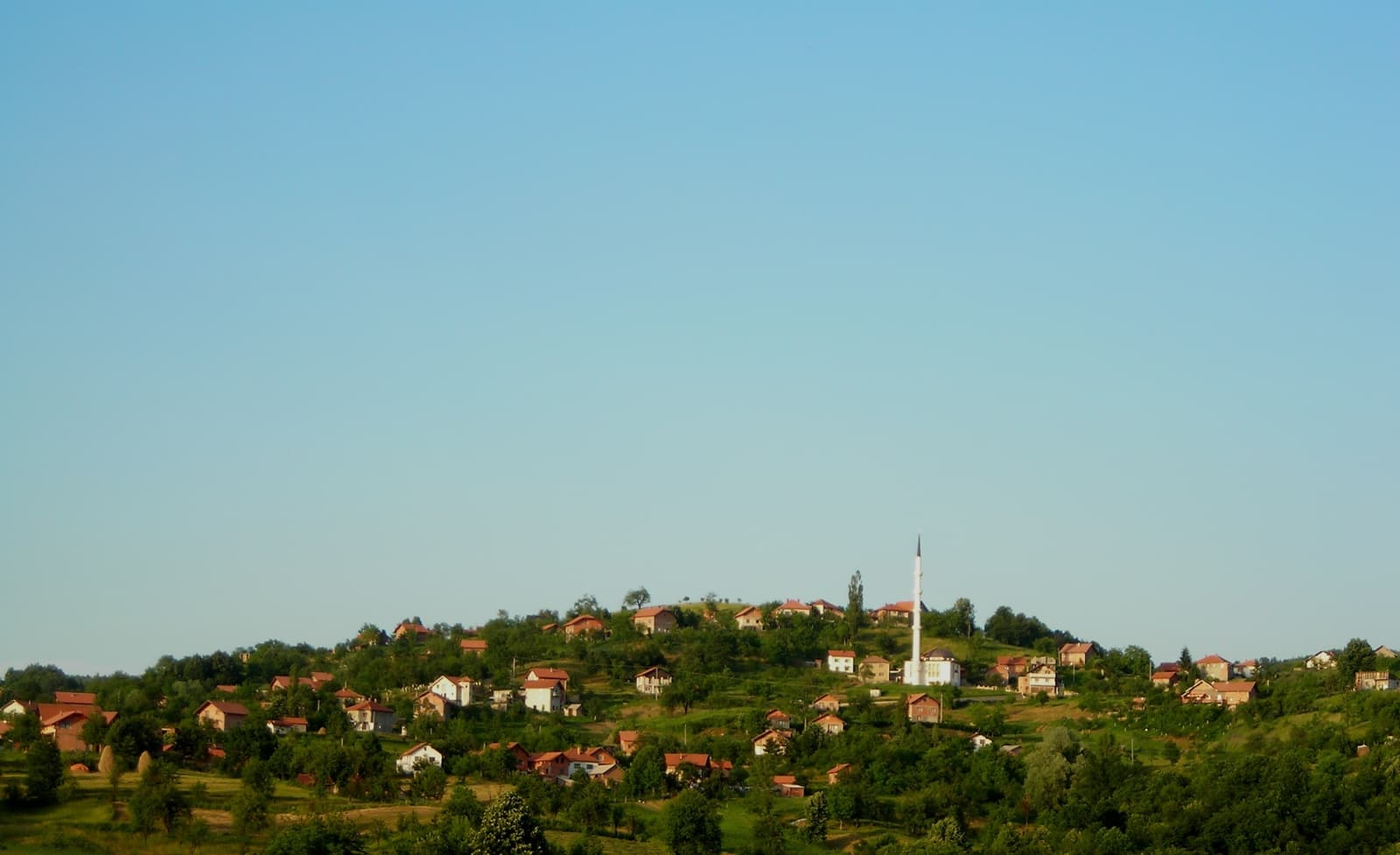 Djevojčicu iz RS kaznili zbog proslave Dana državnosti BiH - slika 1