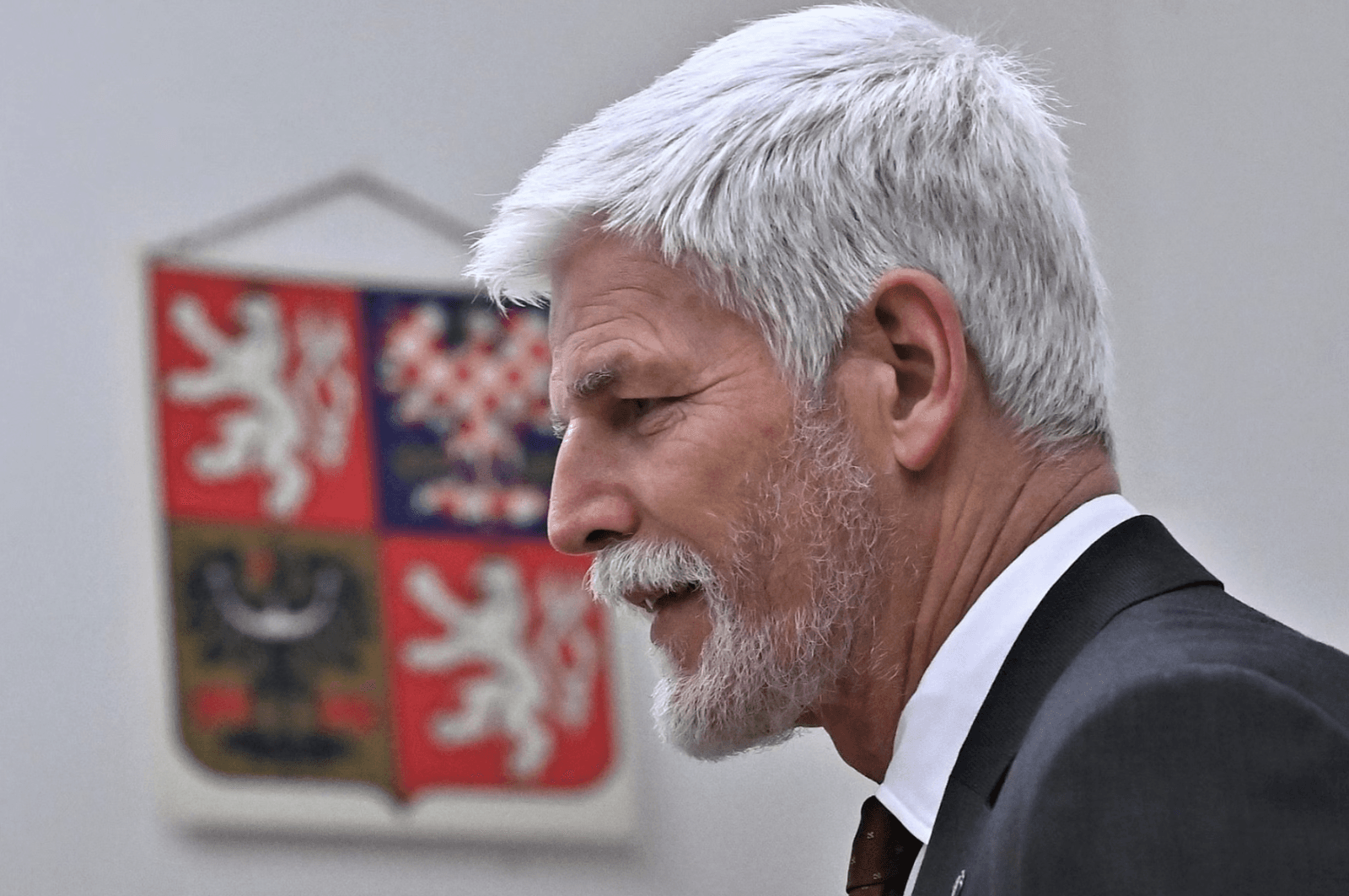 Petr Pavel, novi predsjednik Češke Republike 1993. u Hrvatskoj spasio 50 francuskih vojnika - slika 1