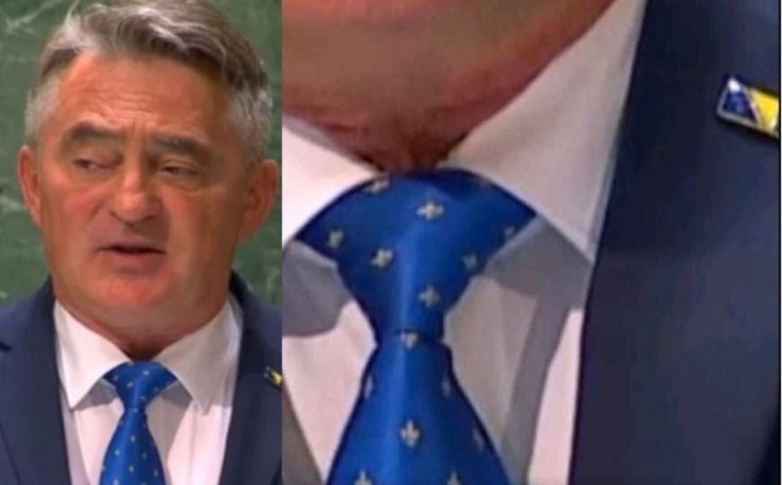 Komšić sa zlatnim ljiljanima na govornici Generalne skupštine UN-a! - slika 1