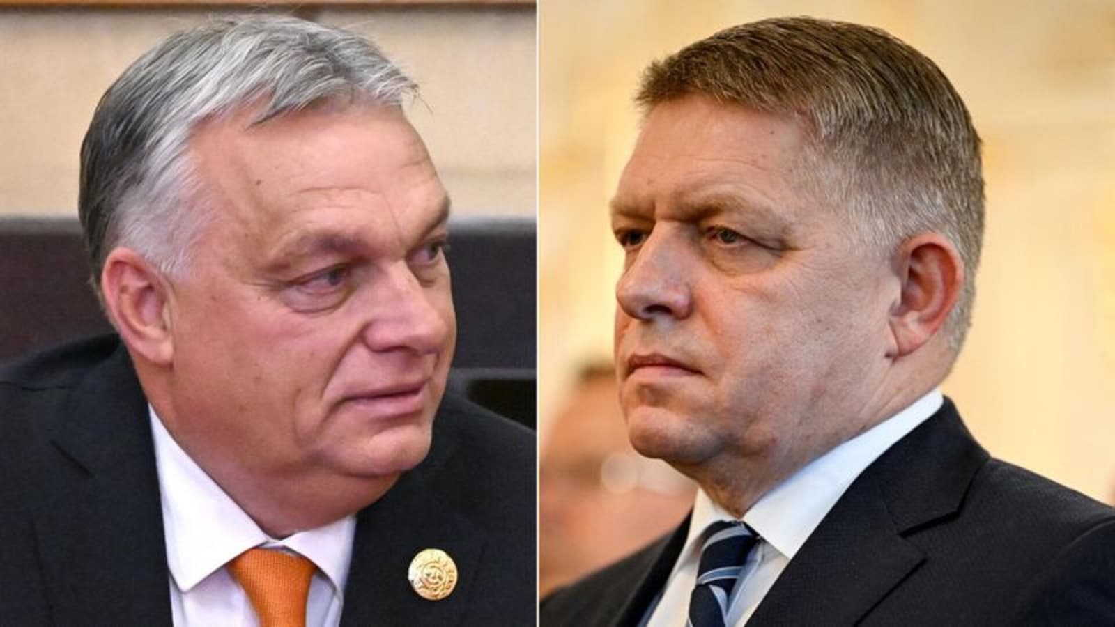 Bratislava će biti samo ogranak Budimpešte - slika 1