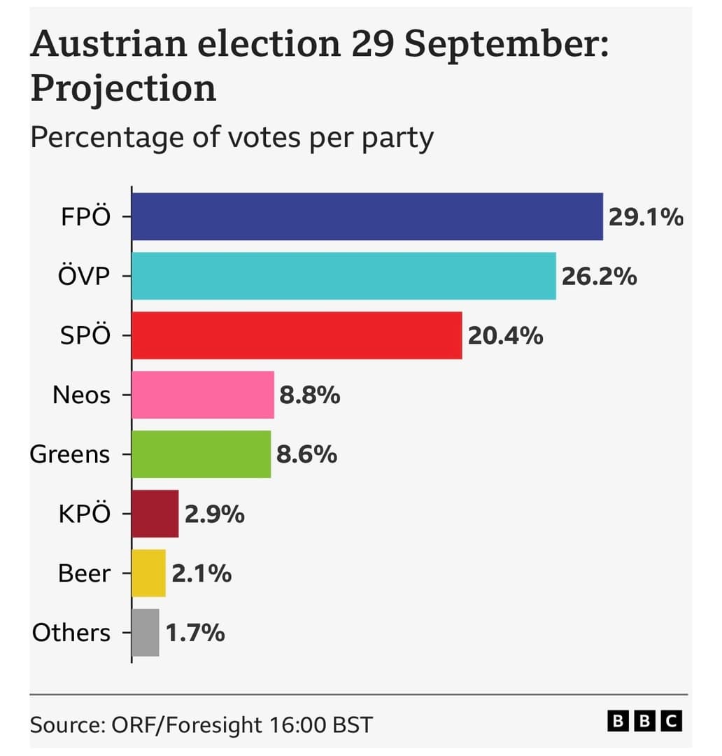Pobjeda austrijskih neonacista! - slika 1