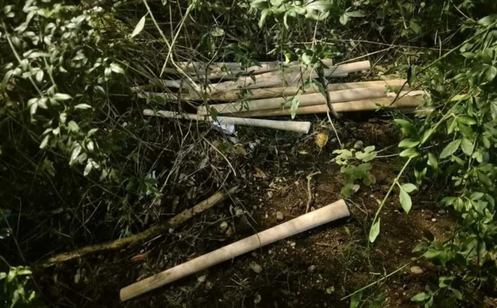 Crna Gora i Turska: Kako je jedan incident razbuktao plamen mržnje prema cijelom narodu - slika 1