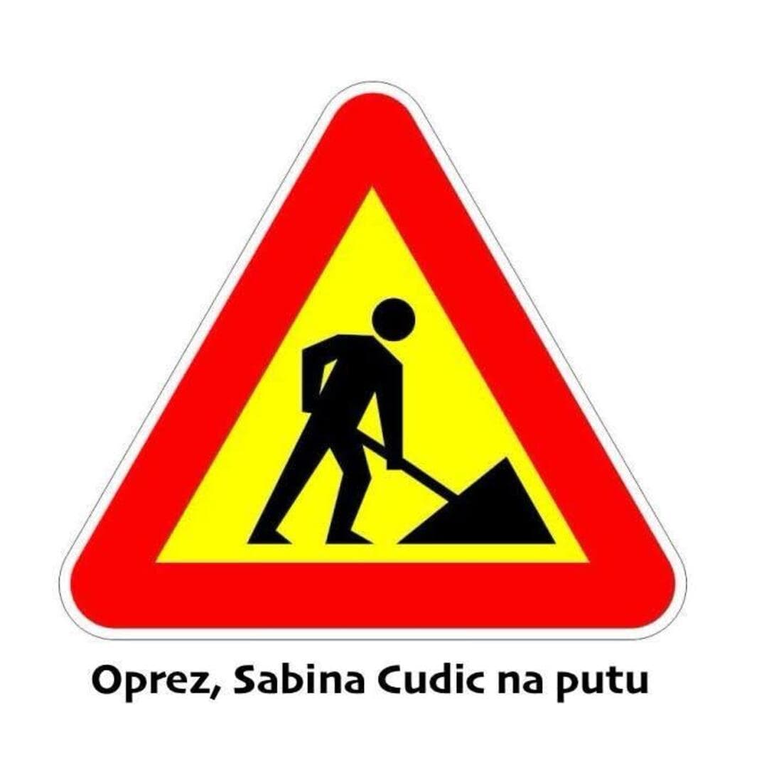 Naša stranka u krstaškom pohodu - slika 1